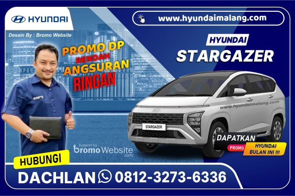 NEW STARGAZER CARTENZ